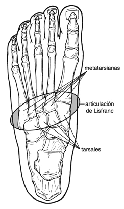 Onet Medical - Las lesiones del tobillo y esguinces pueden